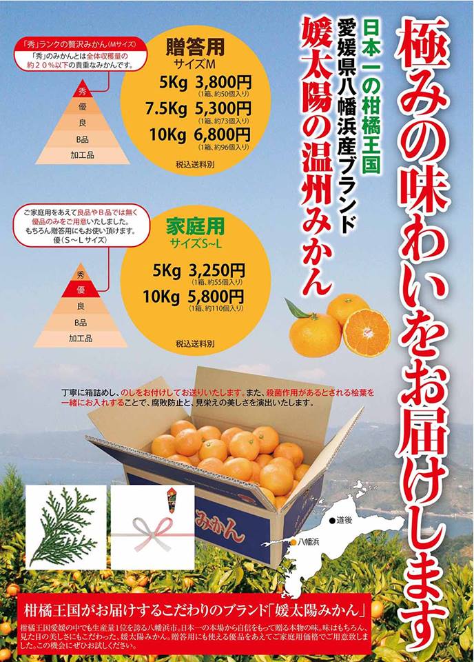 媛太陽みかん
