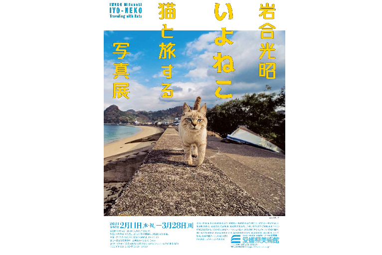 愛媛県美術館企画展｢岩合光昭　いよねこ猫と旅する写真展」